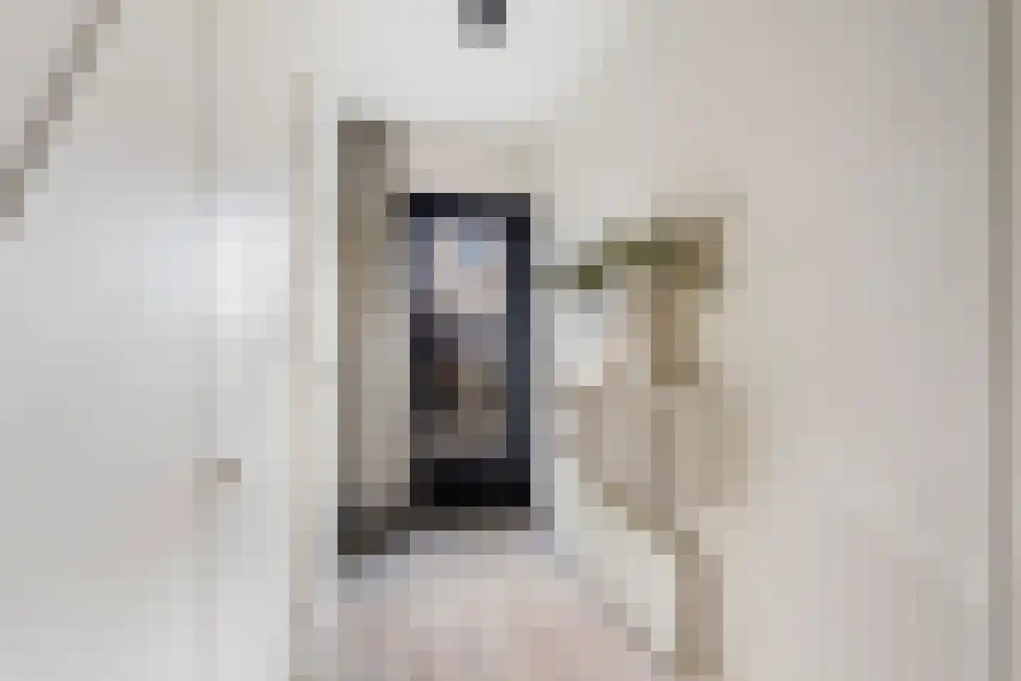 van Gochstraat 27 's-Gravenzande thumbnail 10