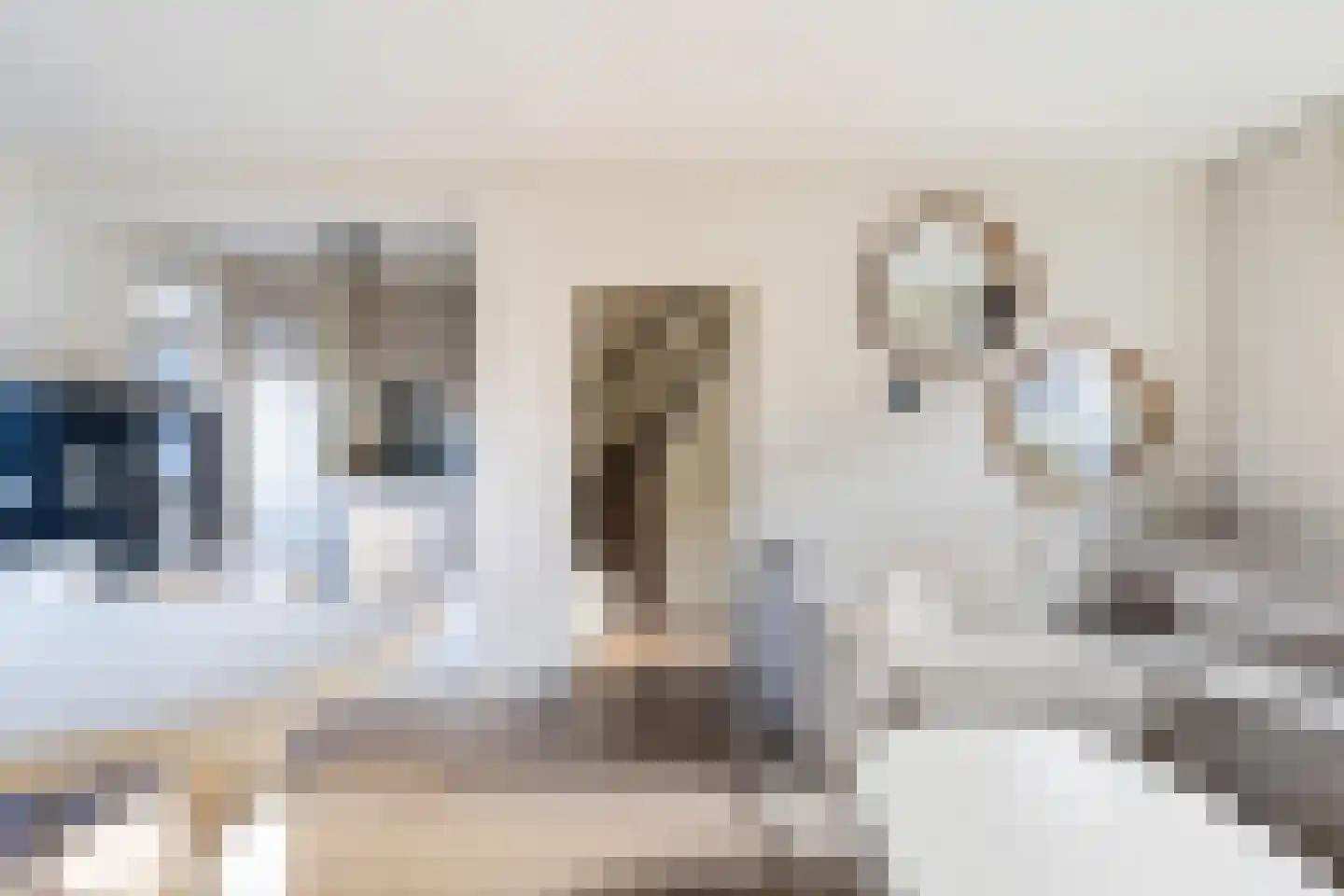 van Gochstraat 27 's-Gravenzande thumbnail 15