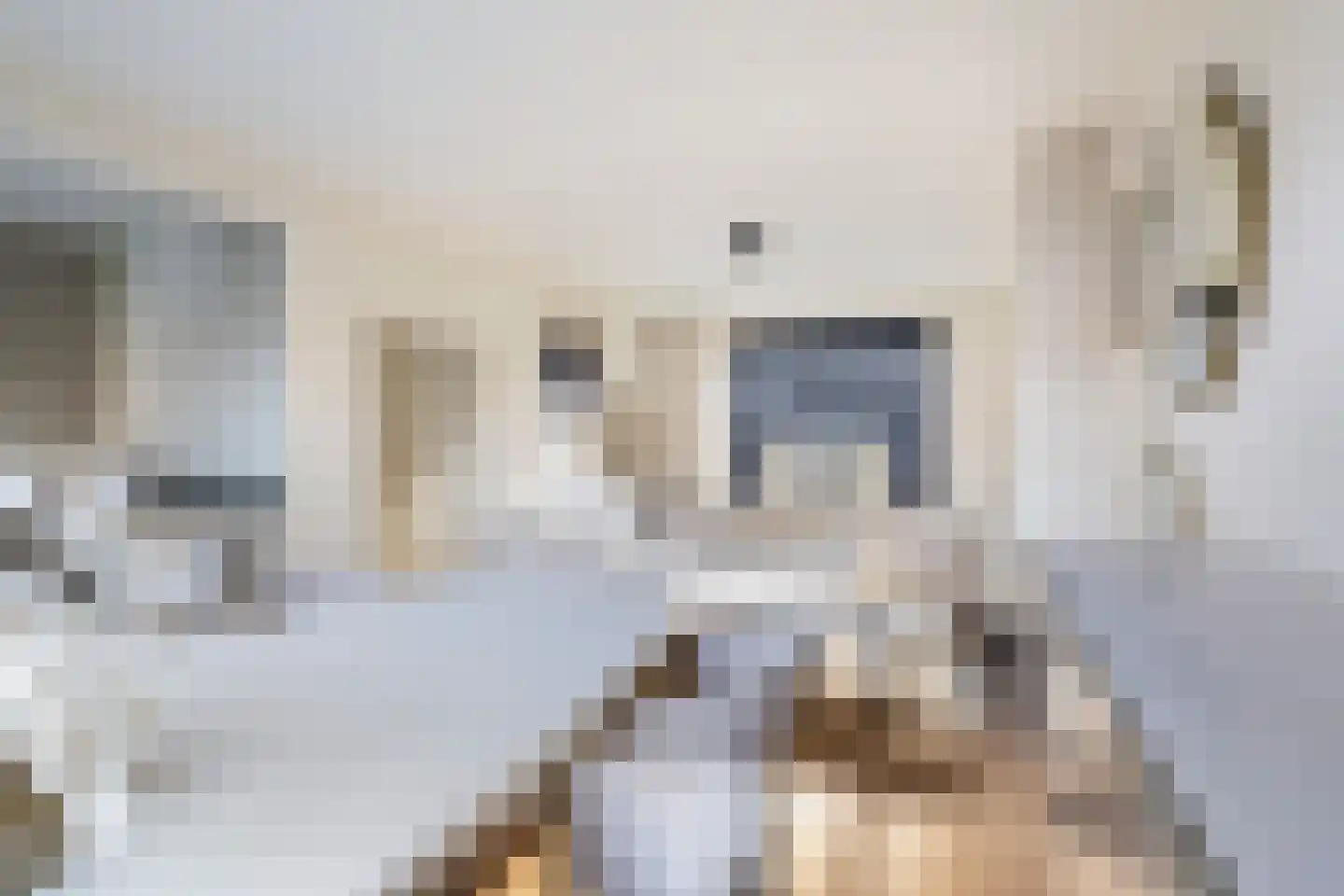 van Gochstraat 27 's-Gravenzande thumbnail 18
