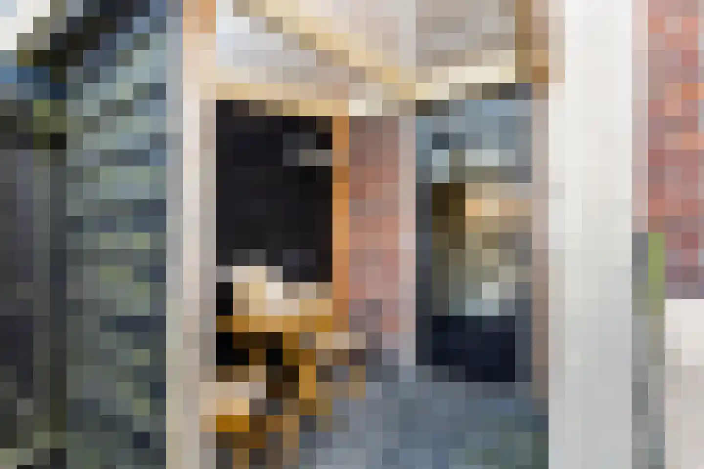 van Gochstraat 27 's-Gravenzande thumbnail 24
