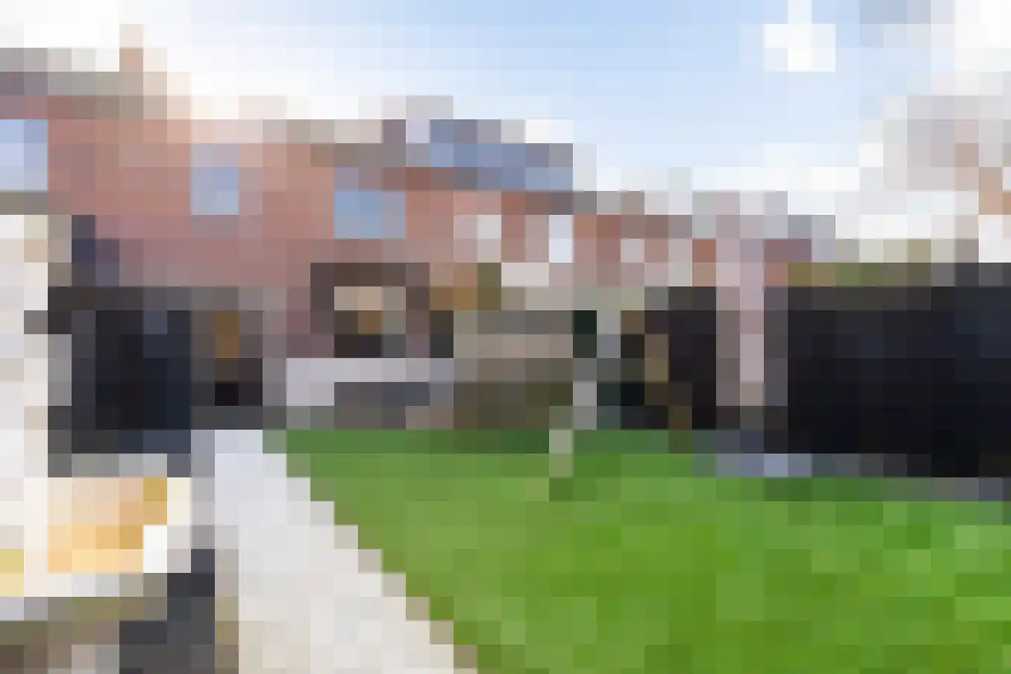 van Gochstraat 27 's-Gravenzande thumbnail 28