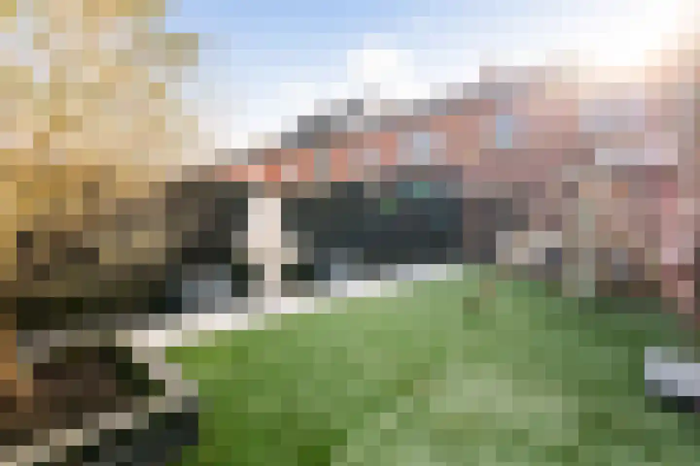 van Gochstraat 27 's-Gravenzande thumbnail 29