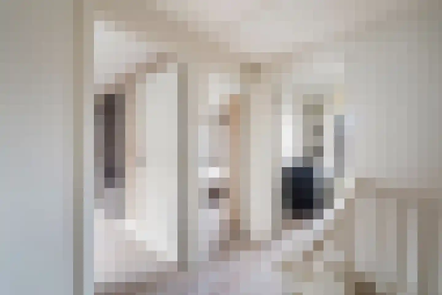 van Gochstraat 27 's-Gravenzande thumbnail 31
