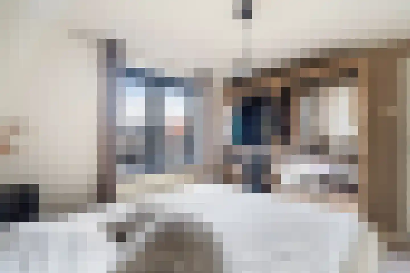 van Gochstraat 27 's-Gravenzande thumbnail 36