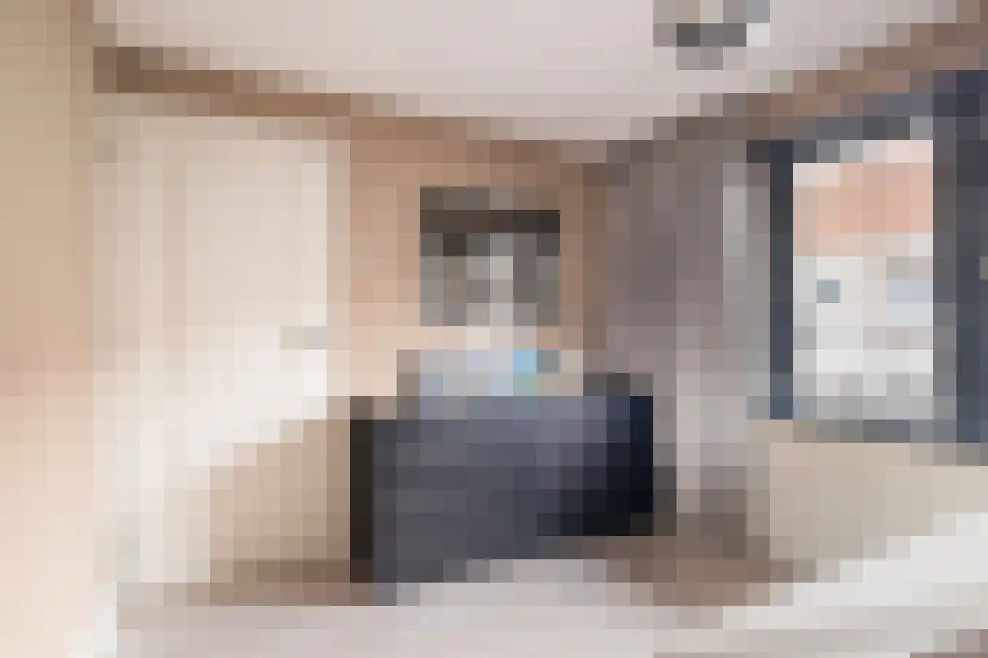 van Gochstraat 27 's-Gravenzande thumbnail 43