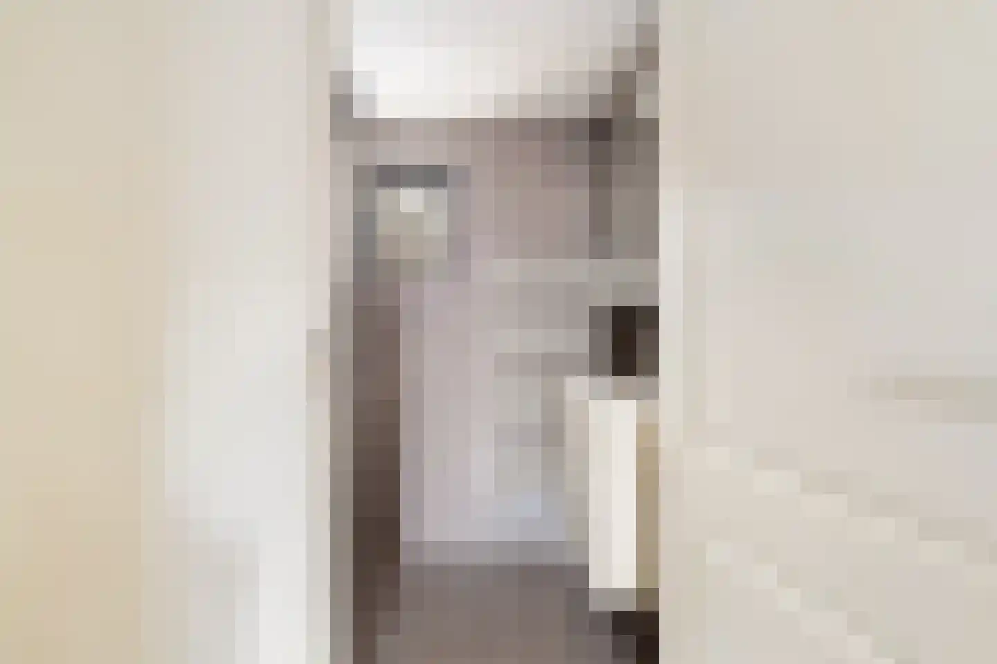 van Gochstraat 27 's-Gravenzande thumbnail 44
