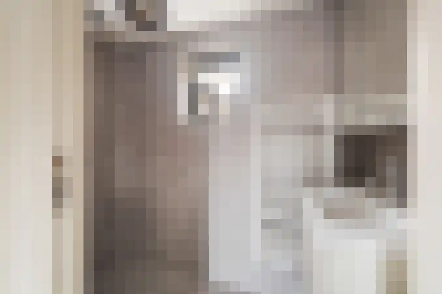 van Gochstraat 27 's-Gravenzande thumbnail 45