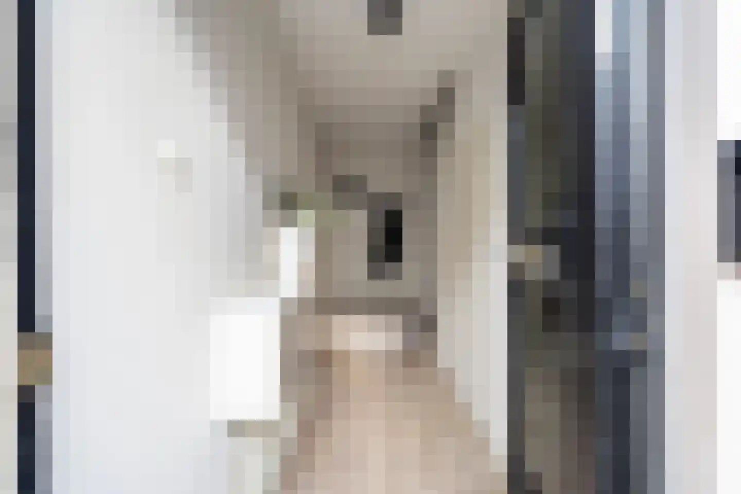 van Gochstraat 27 's-Gravenzande thumbnail 9