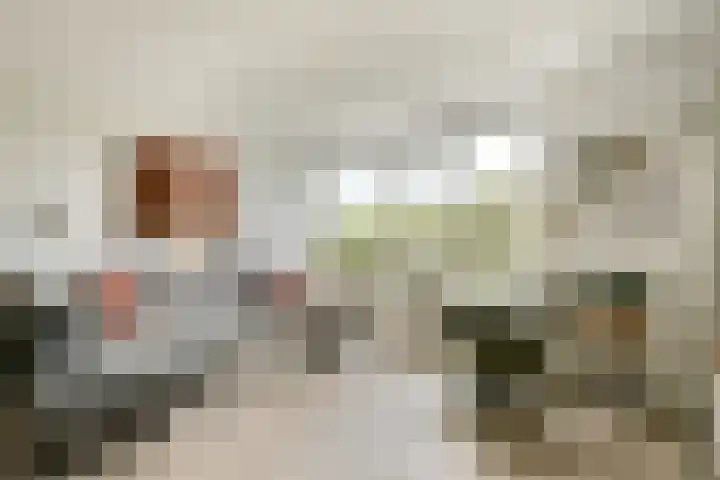 van Godewijckstraat 123 in Hendrik-Ido-Ambacht