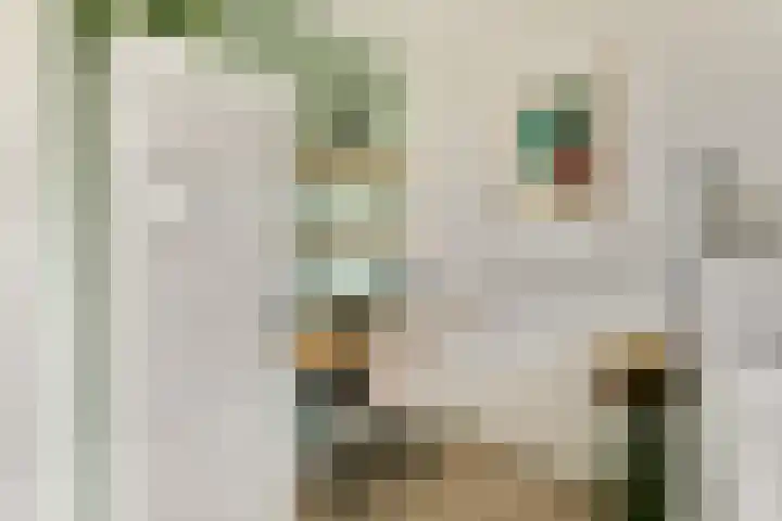 van Godewijckstraat 123 Hendrik-Ido-Ambacht thumbnail 11