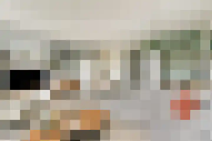 van Godewijckstraat 123 Hendrik-Ido-Ambacht thumbnail 12