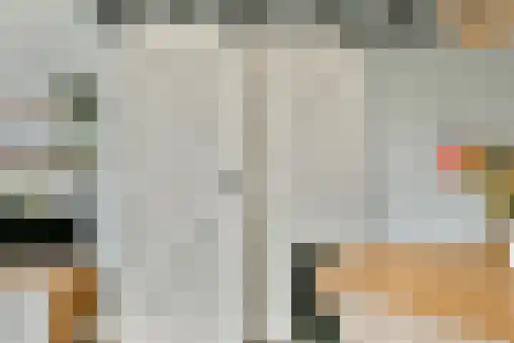 van Godewijckstraat 123 Hendrik-Ido-Ambacht thumbnail 14