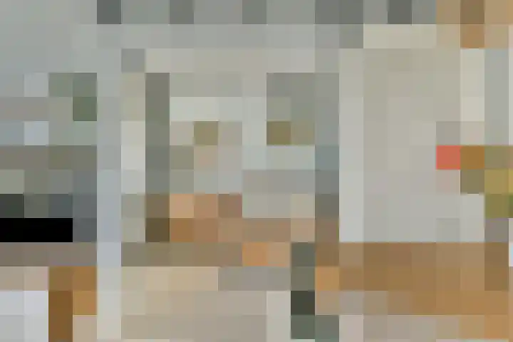 van Godewijckstraat 123 Hendrik-Ido-Ambacht thumbnail 15