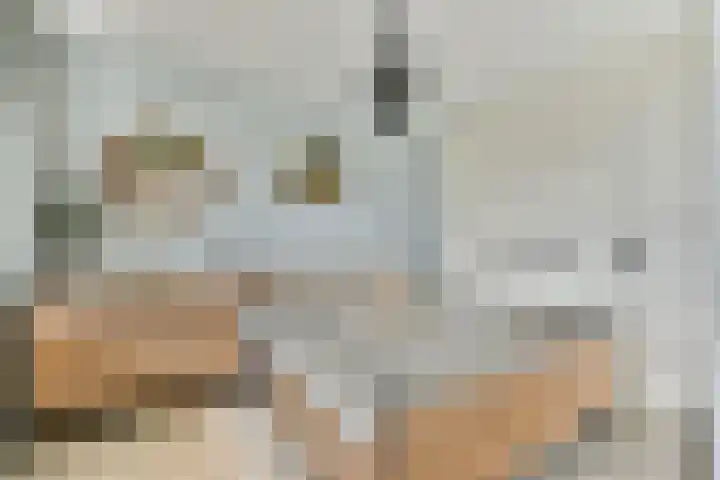 van Godewijckstraat 123 Hendrik-Ido-Ambacht thumbnail 16