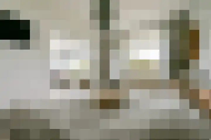 van Godewijckstraat 123 Hendrik-Ido-Ambacht thumbnail 17