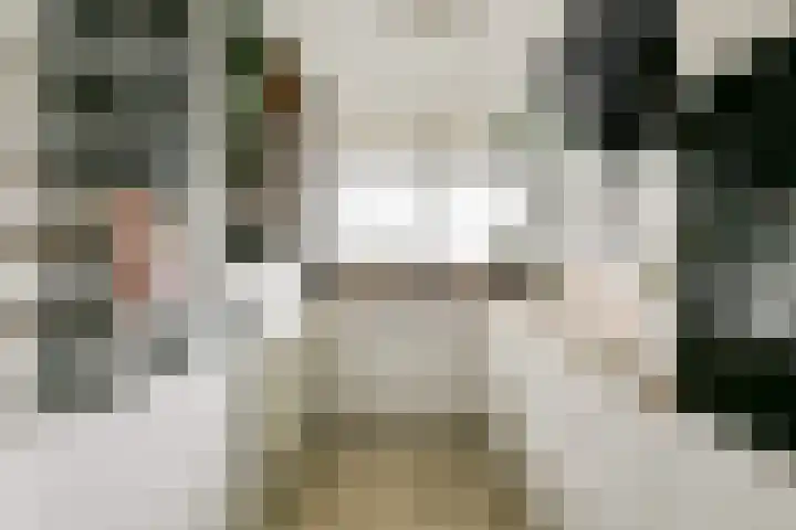 van Godewijckstraat 123 Hendrik-Ido-Ambacht thumbnail 18
