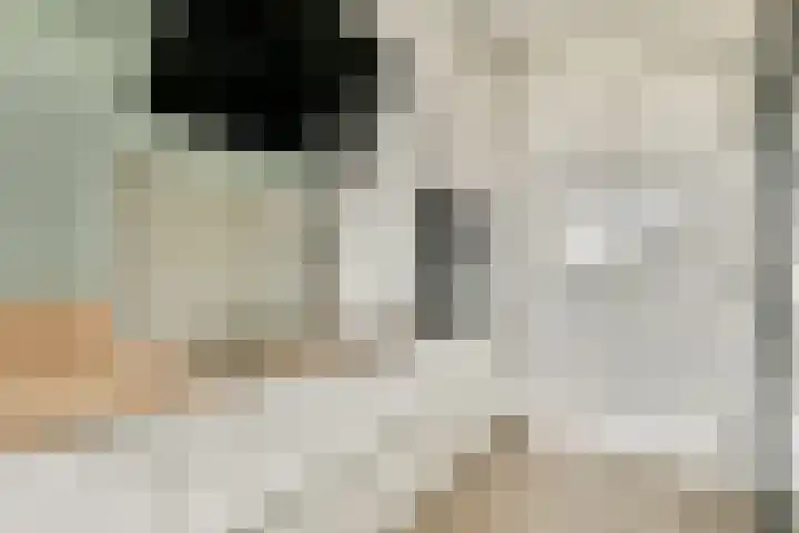 van Godewijckstraat 123 Hendrik-Ido-Ambacht thumbnail 19
