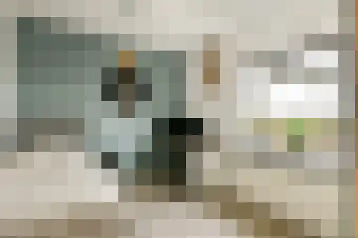 van Godewijckstraat 123 Hendrik-Ido-Ambacht thumbnail 21