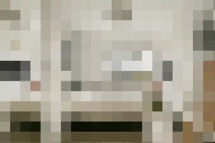 van Godewijckstraat 123 Hendrik-Ido-Ambacht thumbnail 23