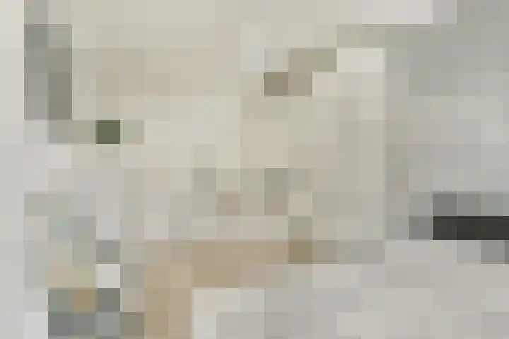 van Godewijckstraat 123 Hendrik-Ido-Ambacht thumbnail 24