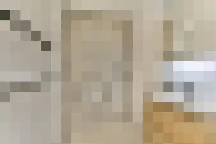 van Godewijckstraat 123 Hendrik-Ido-Ambacht thumbnail 25