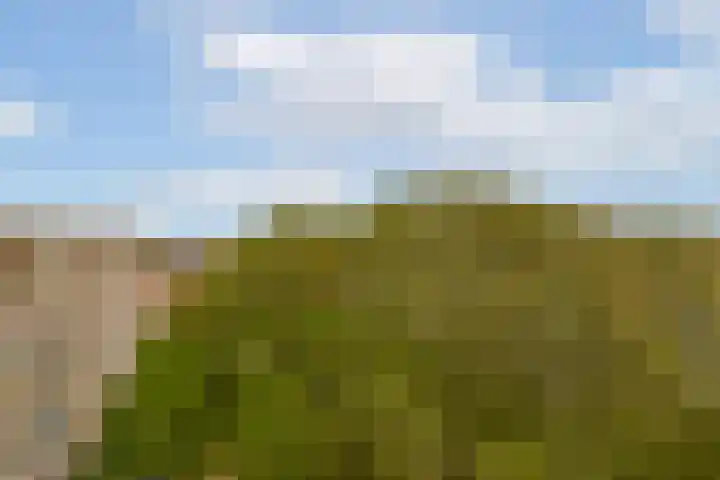 van Godewijckstraat 123 Hendrik-Ido-Ambacht thumbnail 30