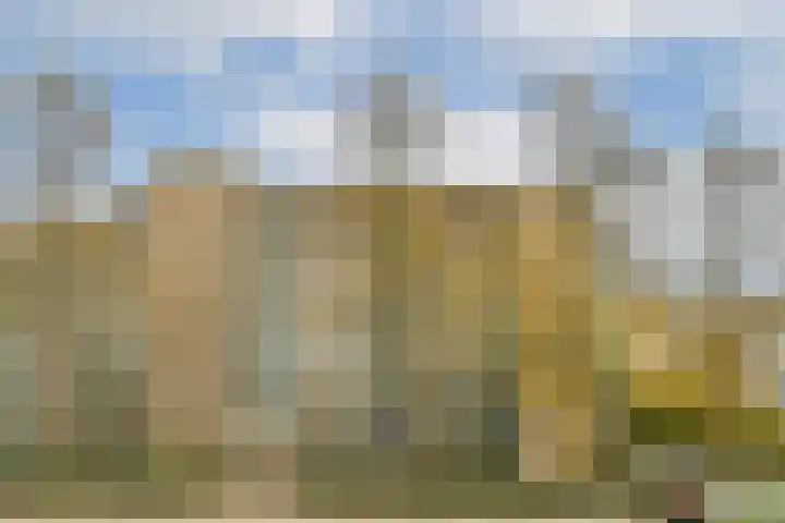 van Godewijckstraat 123 Hendrik-Ido-Ambacht thumbnail 31