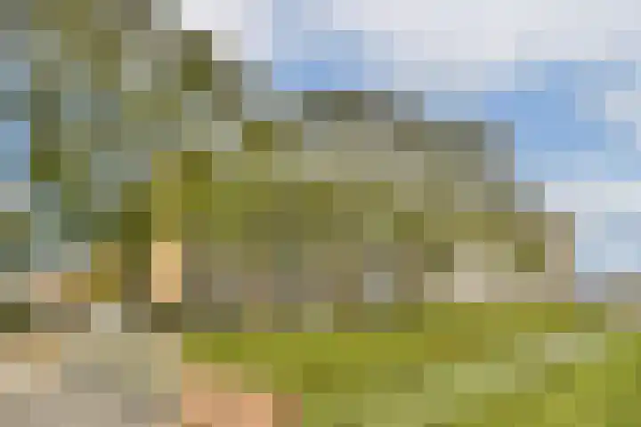 van Godewijckstraat 123 Hendrik-Ido-Ambacht thumbnail 4