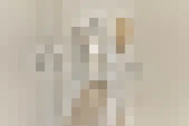 van Godewijckstraat 123 Hendrik-Ido-Ambacht thumbnail 5