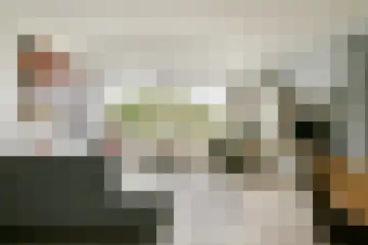 van Godewijckstraat 123 Hendrik-Ido-Ambacht thumbnail 6