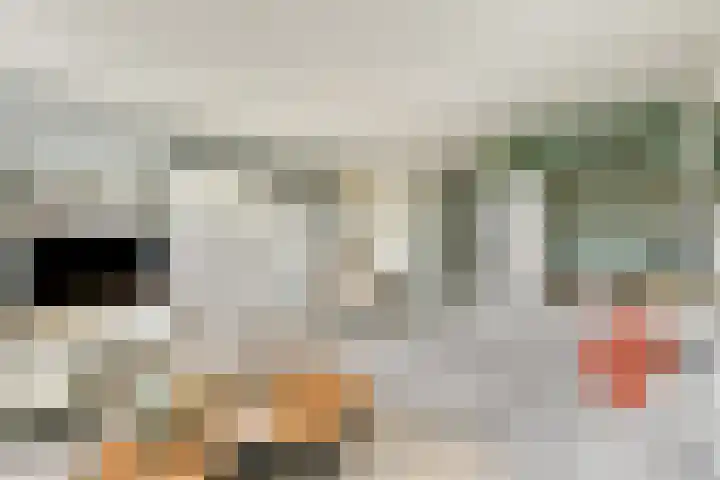 van Godewijckstraat 123 Hendrik-Ido-Ambacht thumbnail 8