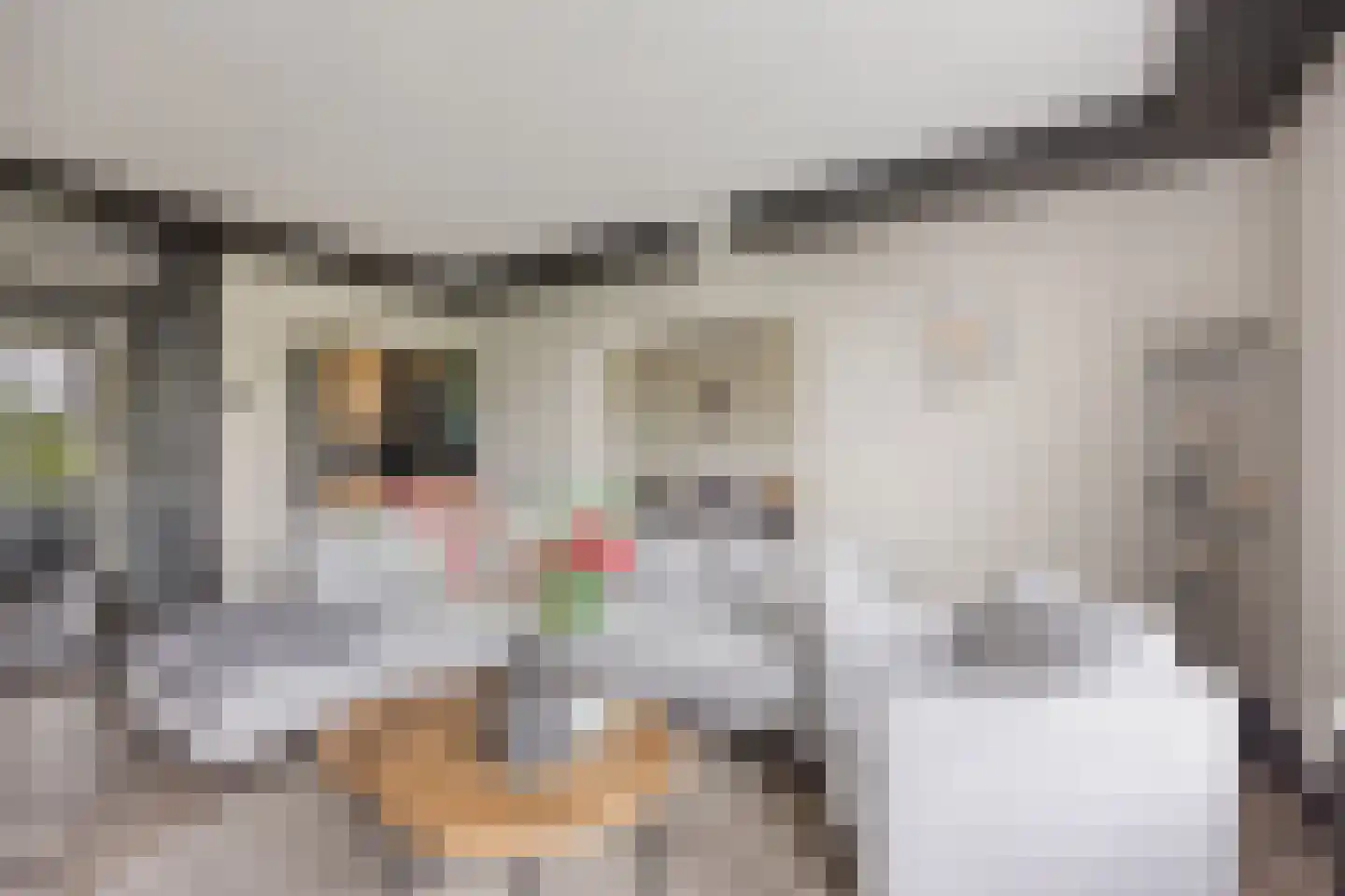 van Godewijckstraat 129 Hendrik-Ido-Ambacht thumbnail 12