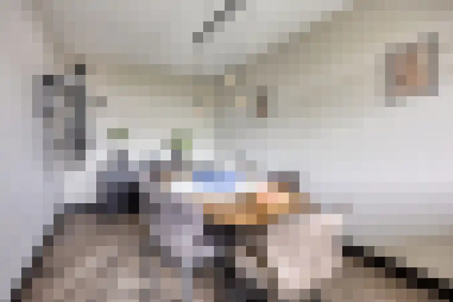 van Godewijckstraat 129 Hendrik-Ido-Ambacht thumbnail 14