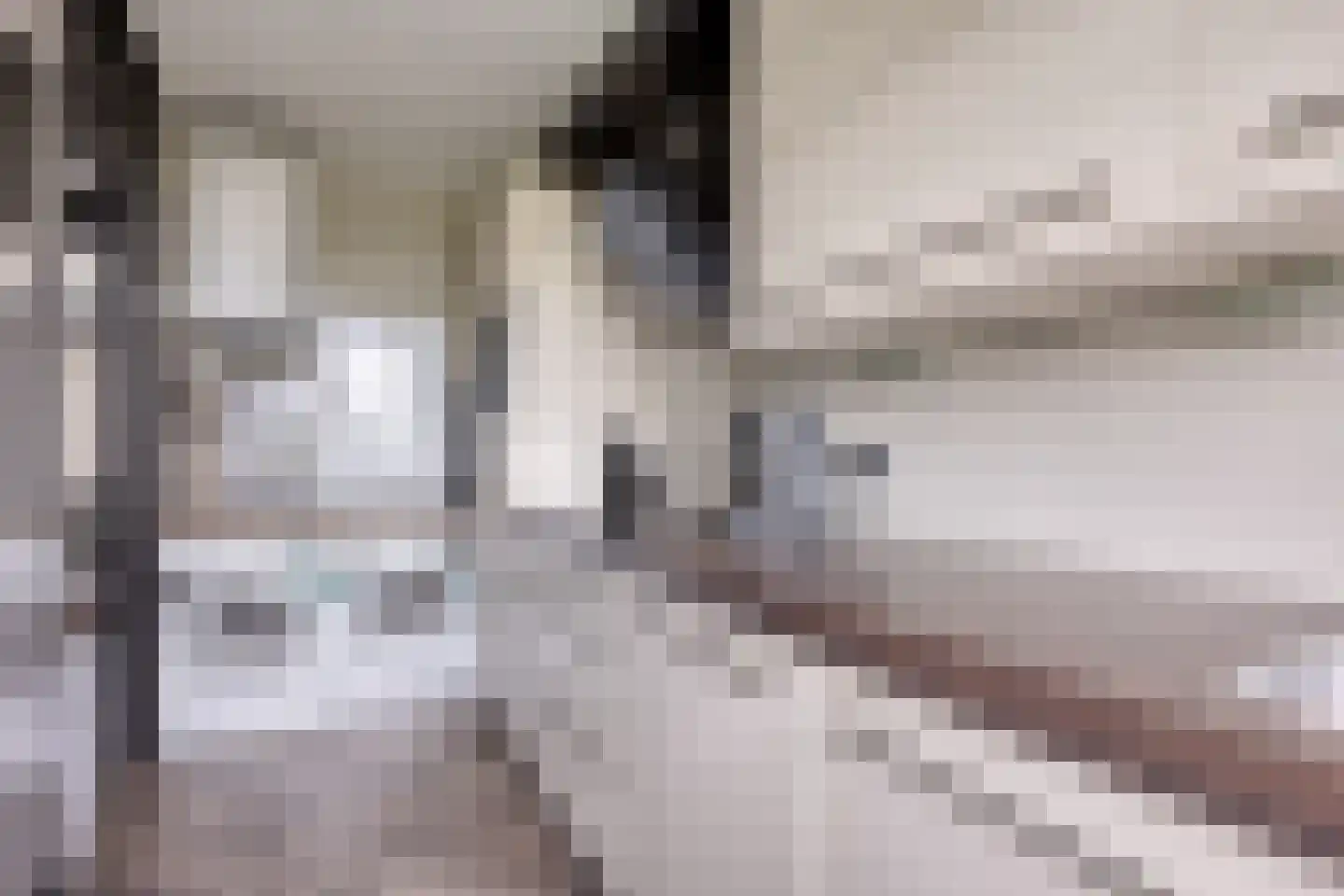 van Godewijckstraat 129 Hendrik-Ido-Ambacht thumbnail 18