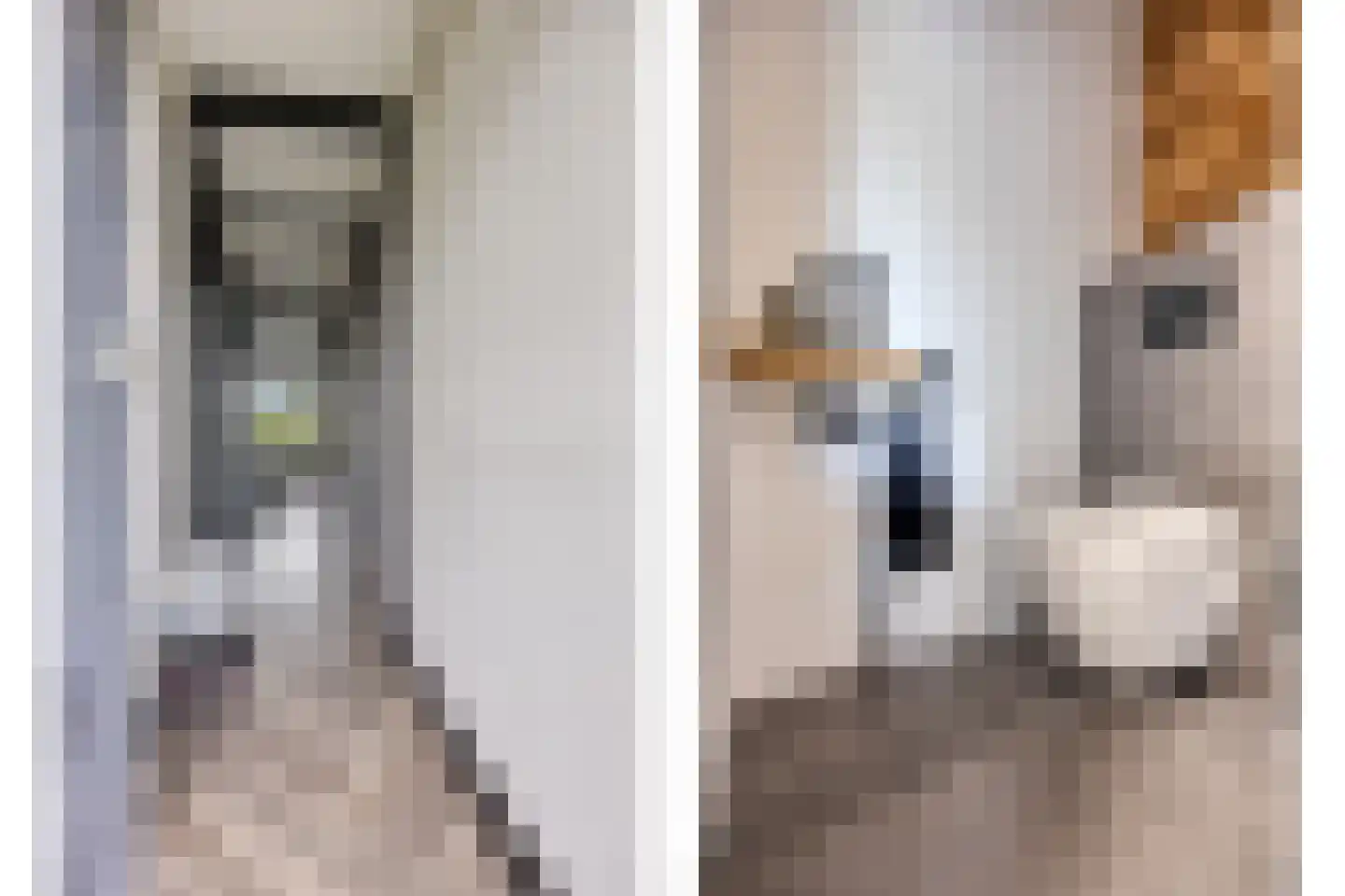 van Godewijckstraat 129 Hendrik-Ido-Ambacht thumbnail 9