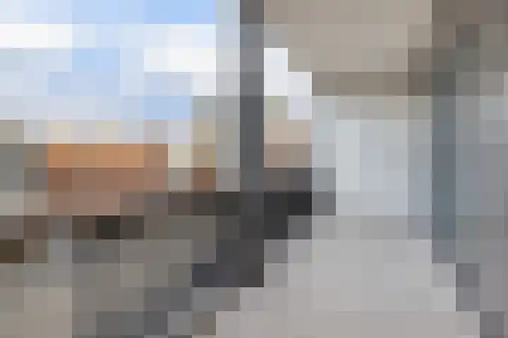 Van Godewijckstraat 15 F Dordrecht thumbnail 12
