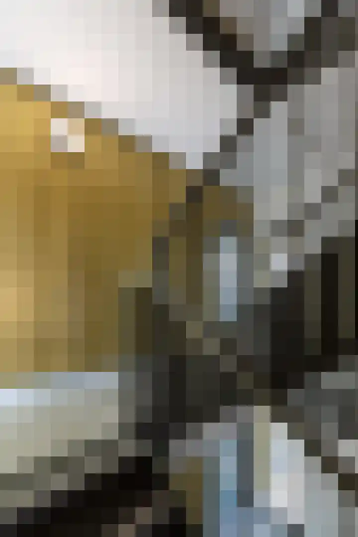 Van Godewijckstraat 15 F Dordrecht thumbnail 5