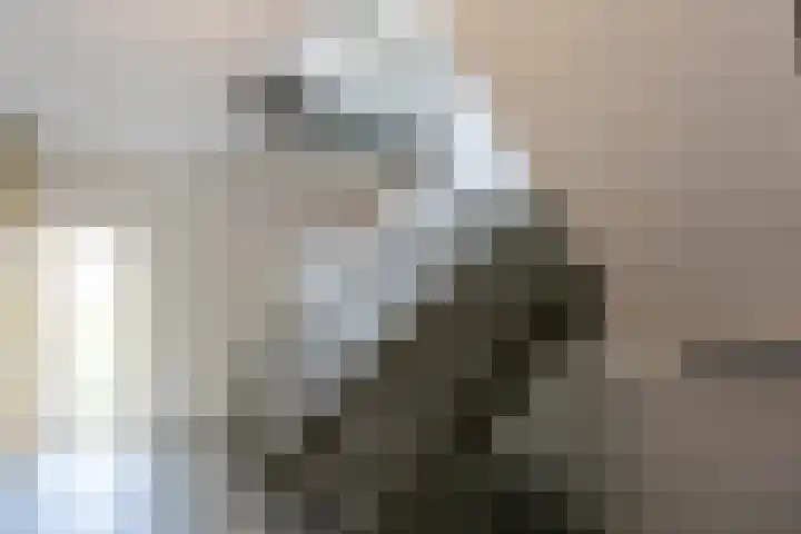 Van Godewijckstraat 15 F Dordrecht thumbnail 6