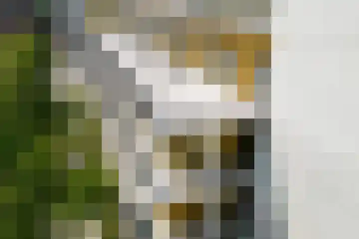 Van Godewijckstraat 15 F Dordrecht thumbnail 9