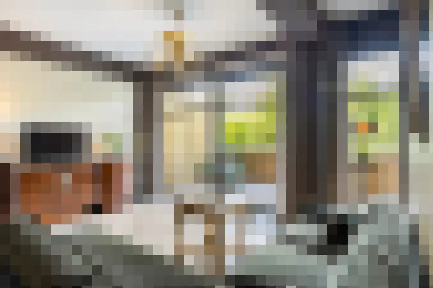 Van Godewijckstraat 17 B Dordrecht thumbnail 10