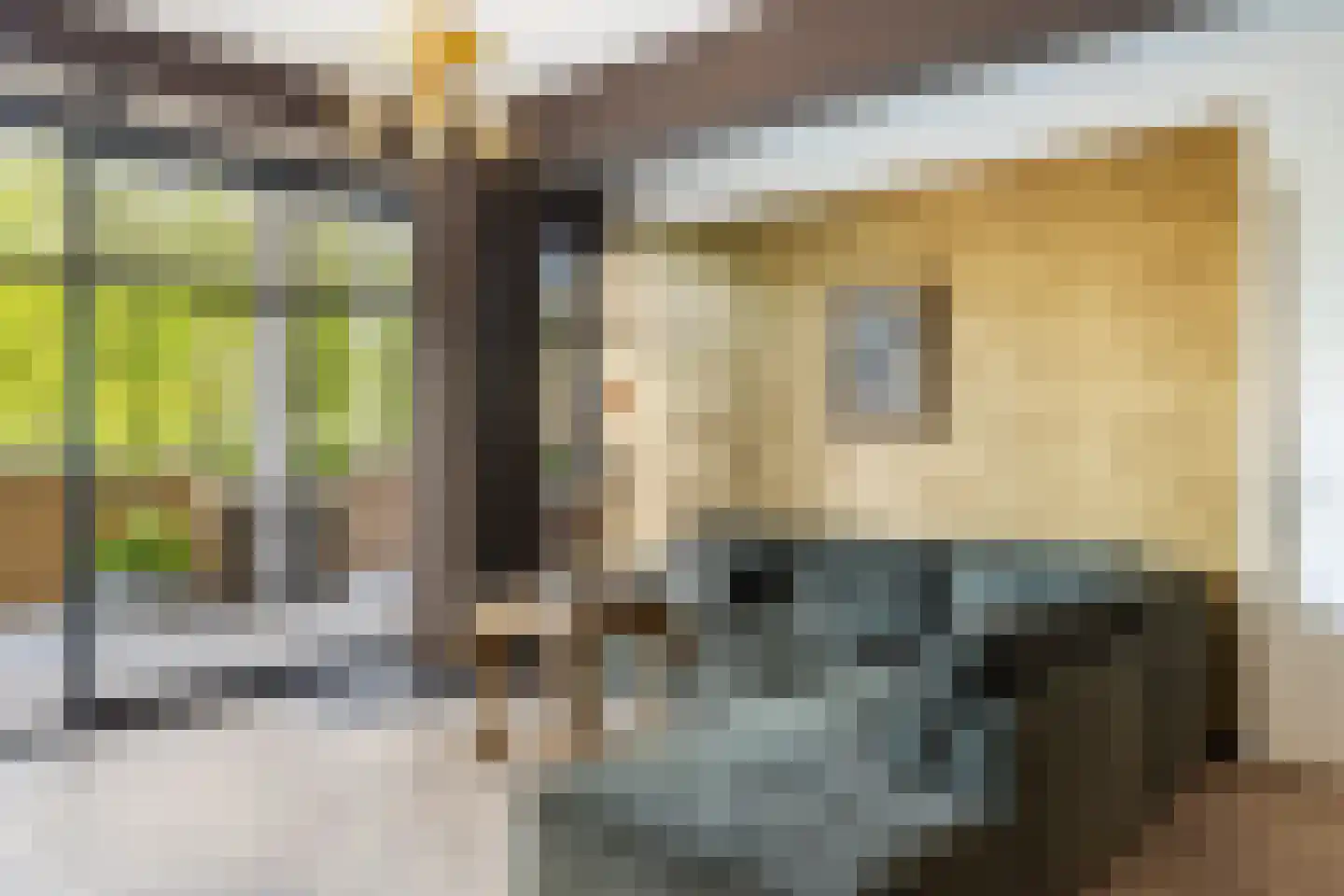 Van Godewijckstraat 17 B Dordrecht thumbnail 11