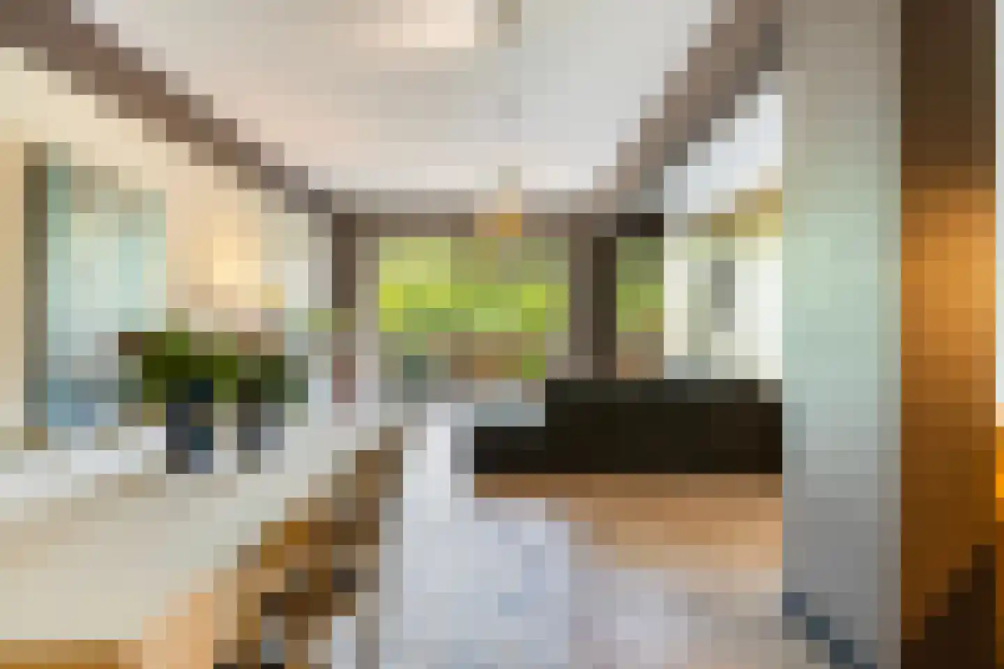 Van Godewijckstraat 17 B Dordrecht thumbnail 21