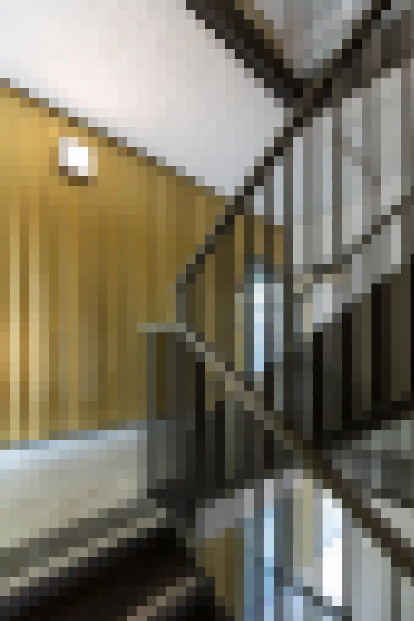 Van Godewijckstraat 17 N Dordrecht thumbnail 17
