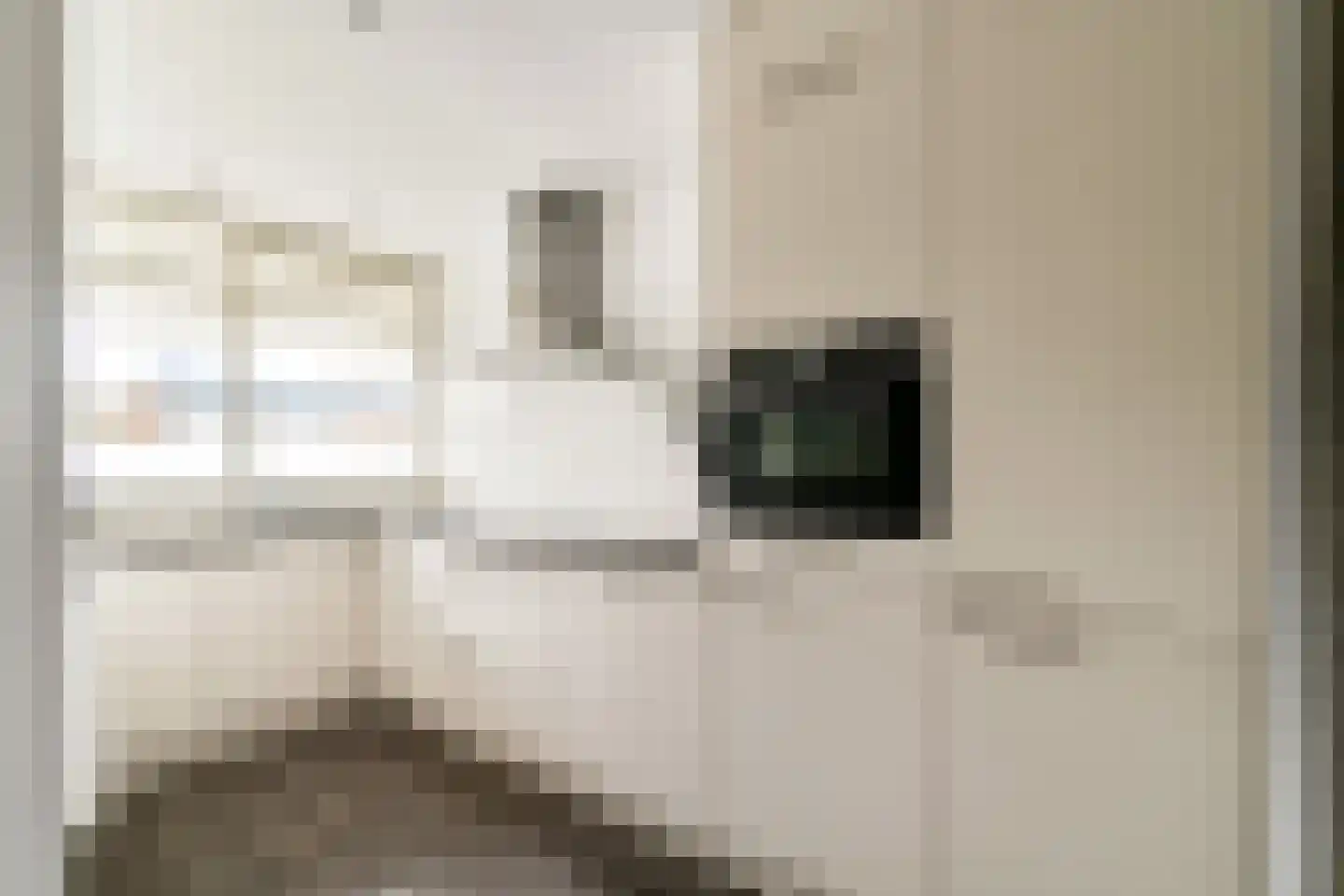 van Godewijckstraat 175 Hendrik-Ido-Ambacht thumbnail 14