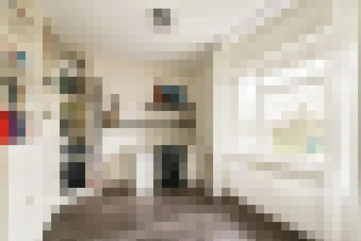 van Godewijckstraat 175 Hendrik-Ido-Ambacht thumbnail 17