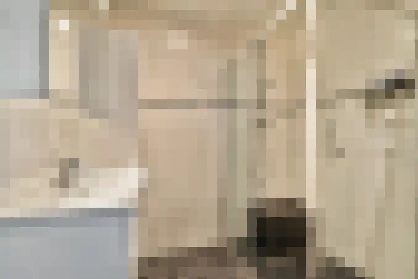 van Godewijckstraat 175 Hendrik-Ido-Ambacht thumbnail 20