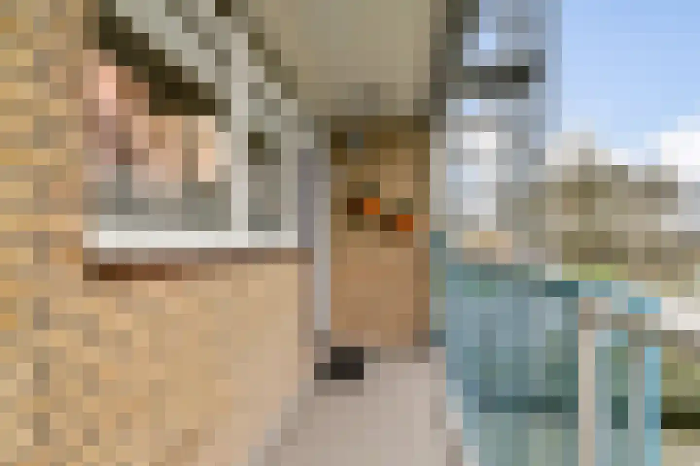 van Godewijckstraat 175 Hendrik-Ido-Ambacht thumbnail 6