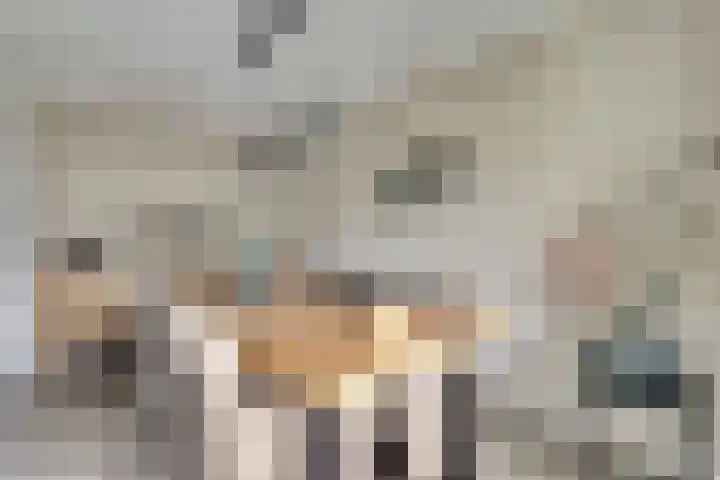 van Godewijckstraat 199 Hendrik-Ido-Ambacht thumbnail 12