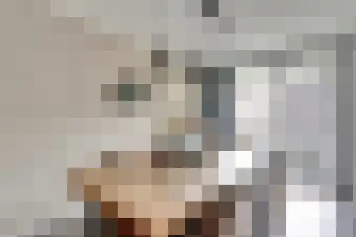 van Godewijckstraat 199 Hendrik-Ido-Ambacht thumbnail 13