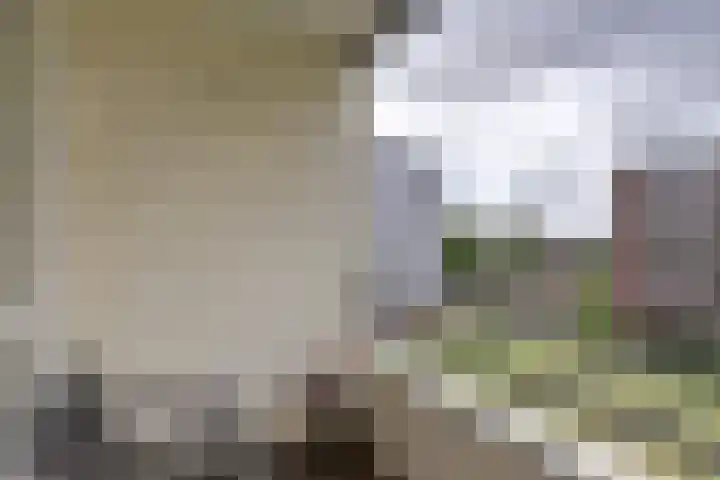 van Godewijckstraat 199 Hendrik-Ido-Ambacht thumbnail 14